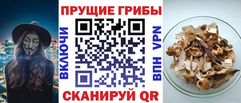 Псилоцибиновые грибы MAGIC MUSHROOMS  Геленджик 